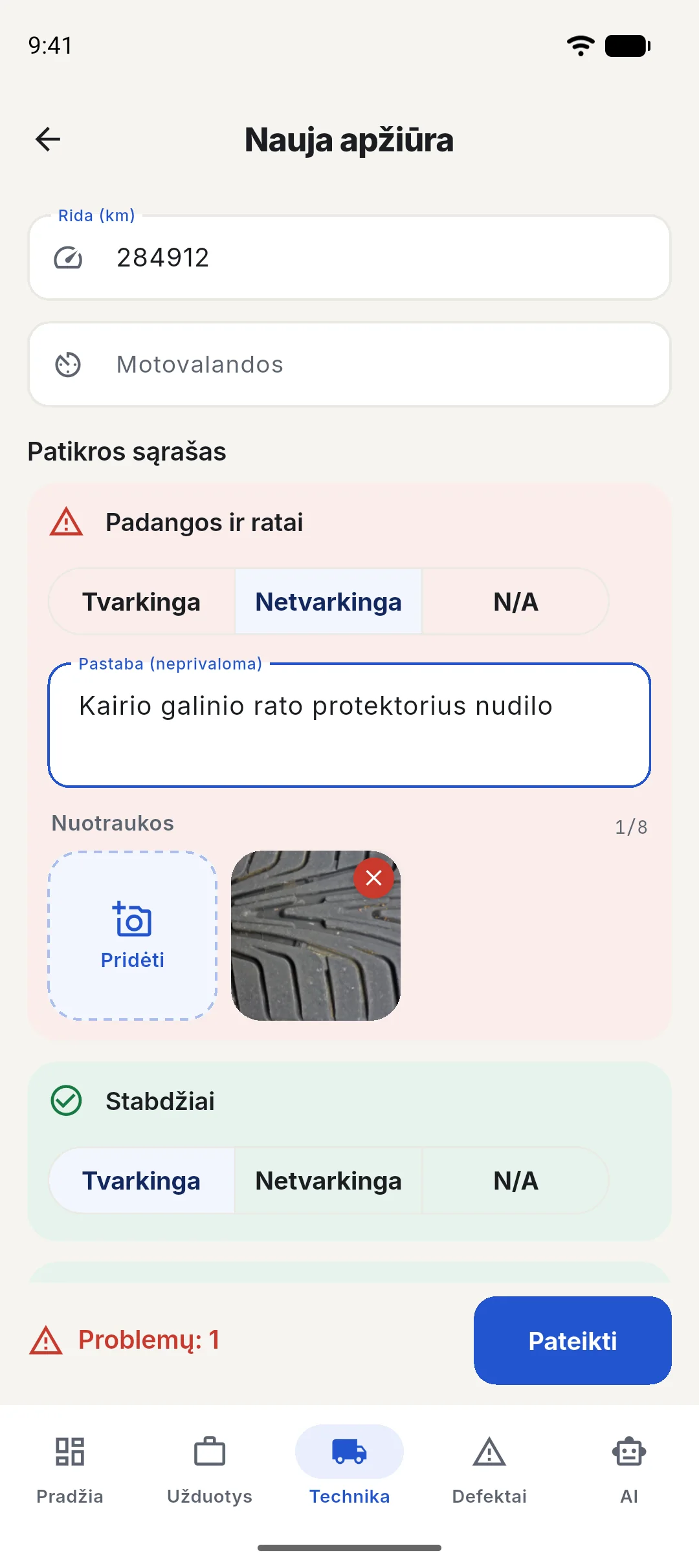 Apžiūra